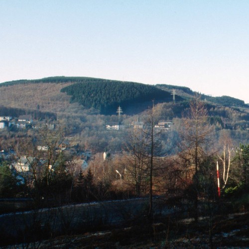 burg