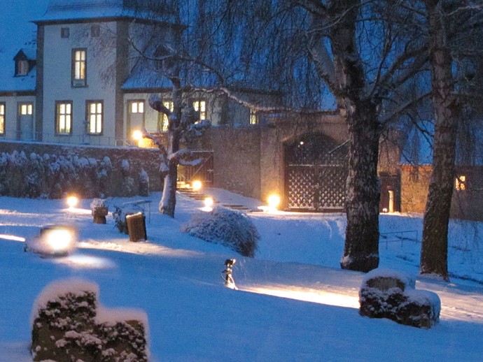 dalheimer schnee (vergrößerte Bildansicht wird geöffnet)